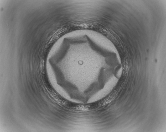 X0000085820656200704091633