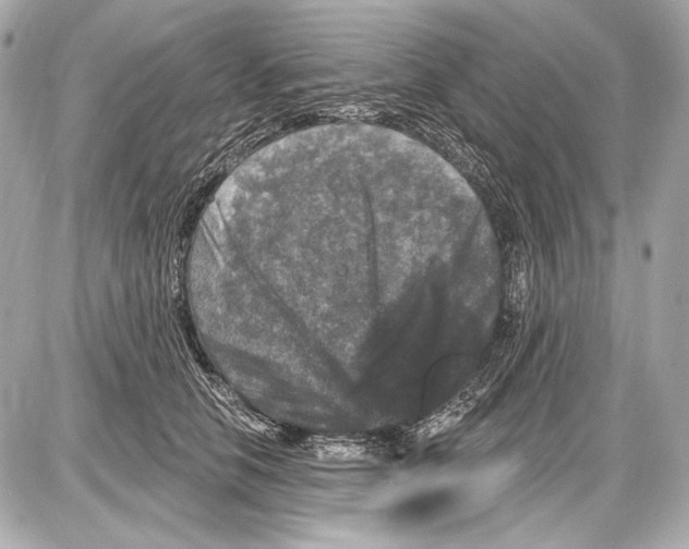 X0000085820658200704091633