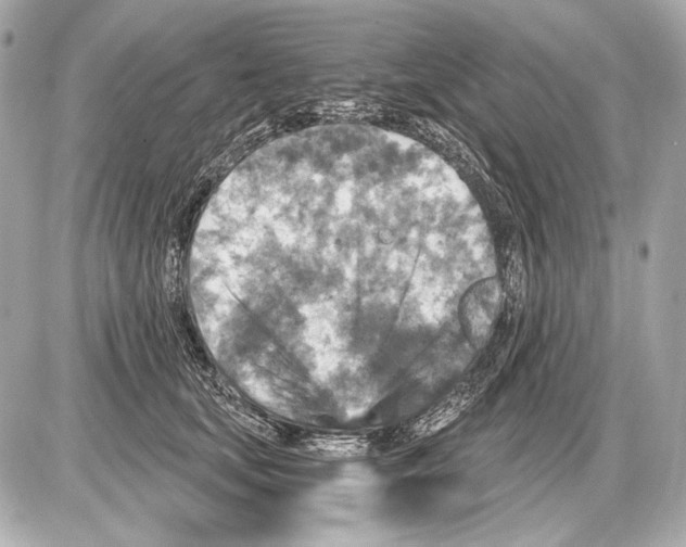 X0000085820659200704091633