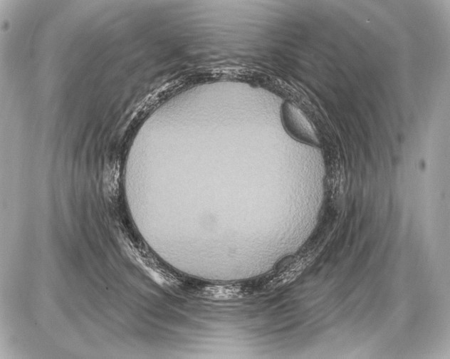 X0000085820660200704091633