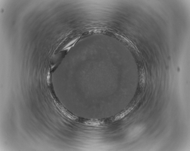 X0000085820661200704091633