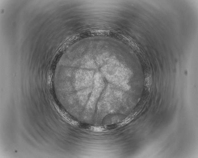 X0000085820662200704091633