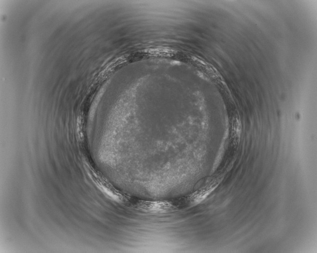 X0000085820663200704091633