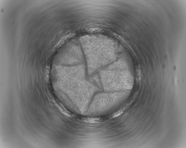 X0000085820664200704091633