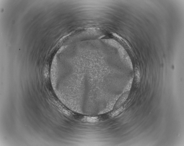 X0000085820665200704091633