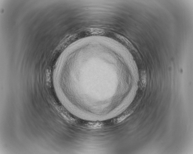 X0000085820667200704091634