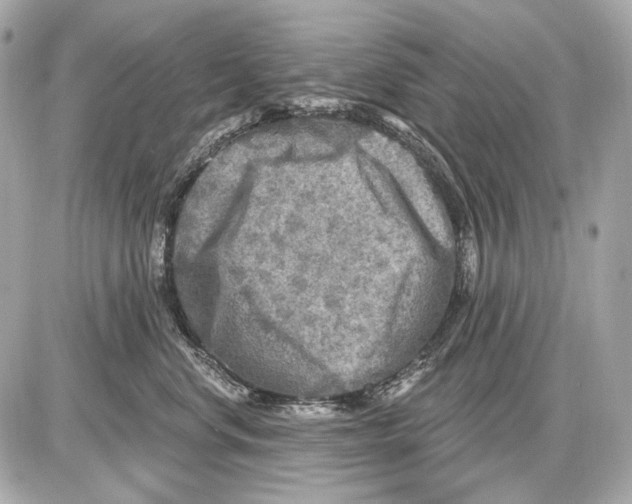 X0000085820668200704091634