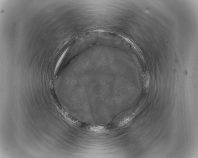 X0000085820669200704091634