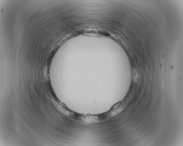 X0000085820670200704091634