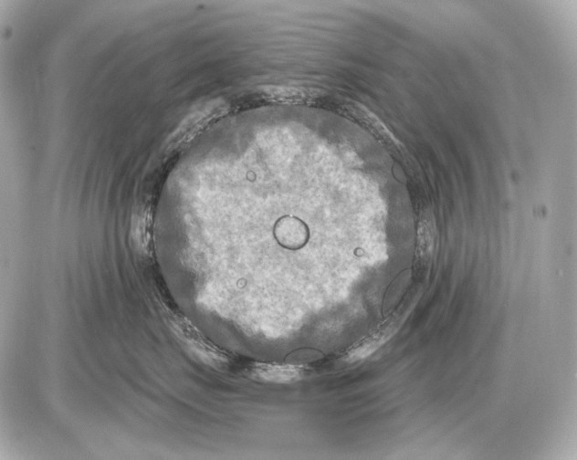 X0000085820671200704091634