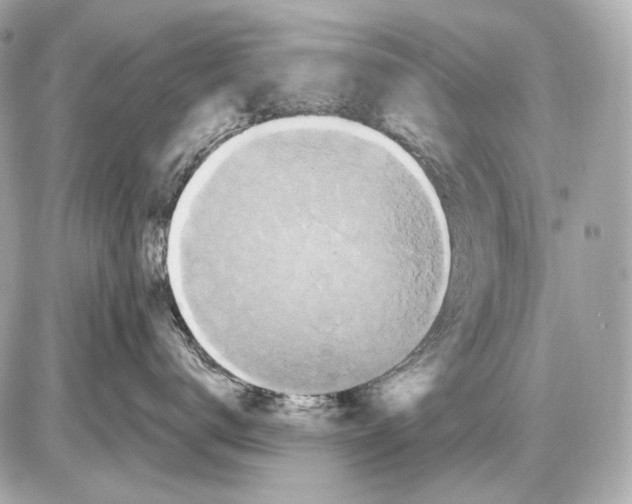 X0000085820672200704091634