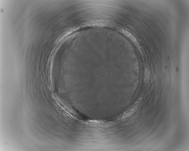 X0000085820673200704091633