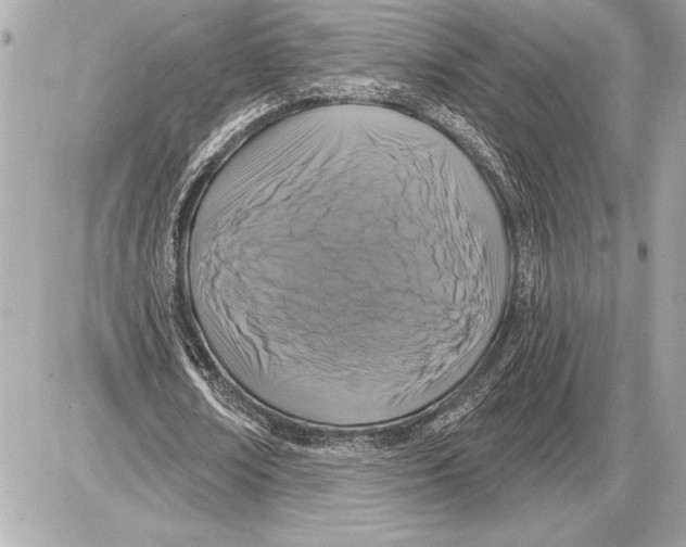 X0000085820674200704091633