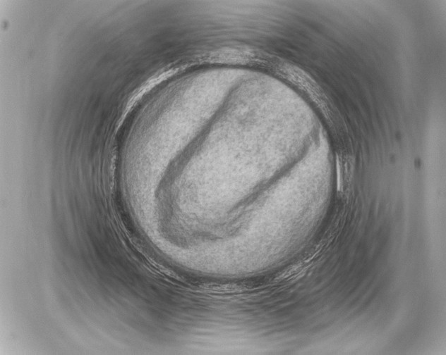 X0000085820675200704091633