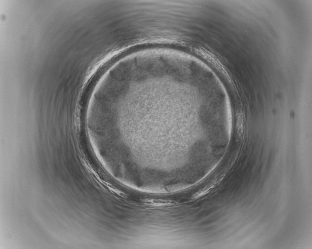 X0000085820676200704091633