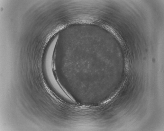 X0000085820677200704091633