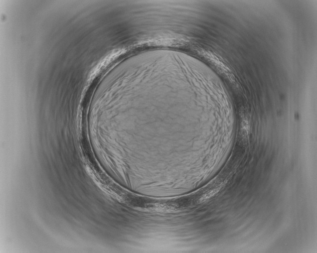 X0000085820678200704091633