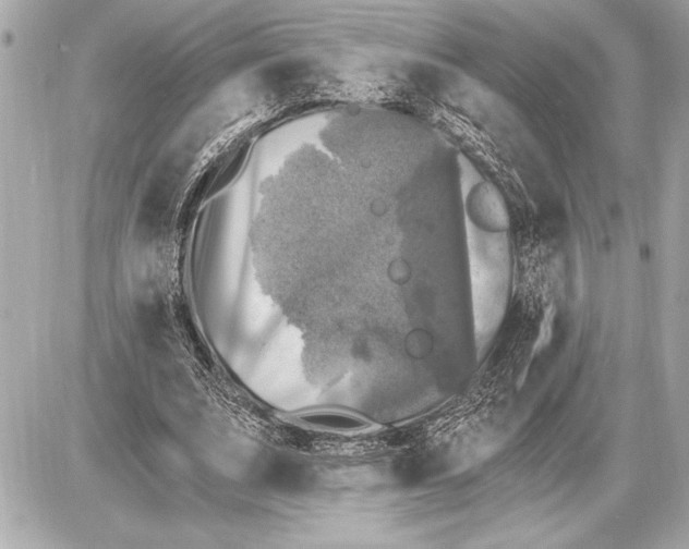 X0000085820679200704091633