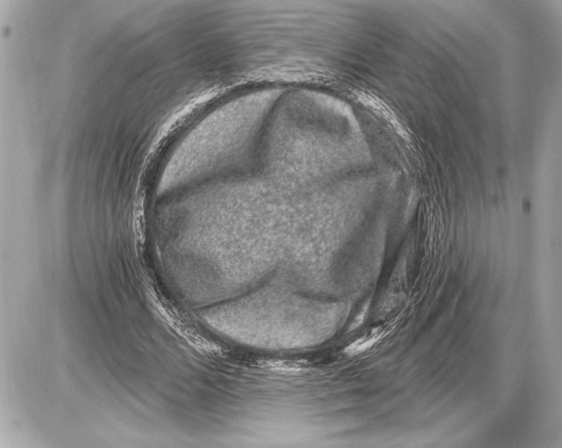 X0000085820680200704091633