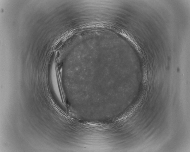 X0000085820681200704091633