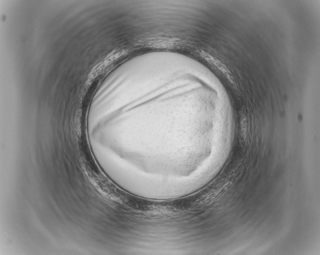 X0000085820682200704091633