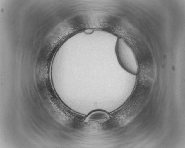 X0000085820683200704091633