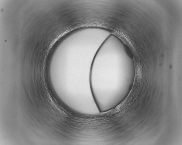 X0000085820684200704091633