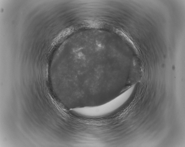 X0000085820685200704091633