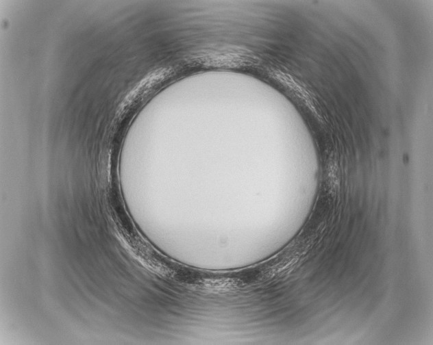 X0000085820686200704091633