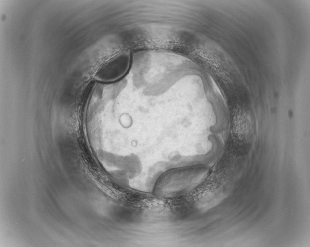 X0000085820687200704091633