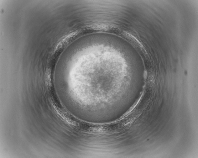 X0000085820688200704091633