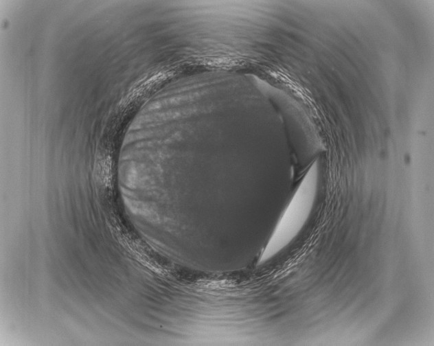 X0000085820689200704091633