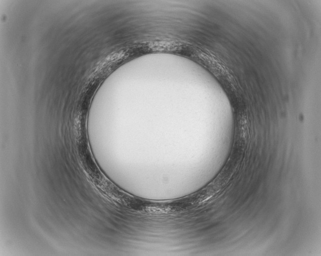 X0000085820690200704091633