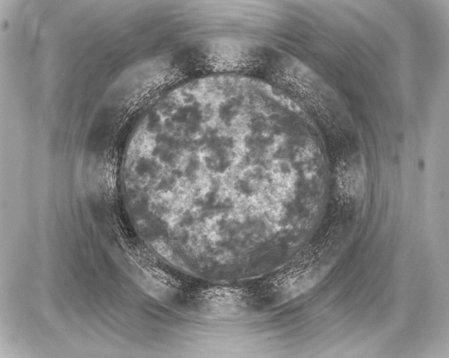 X0000085820691200704091633