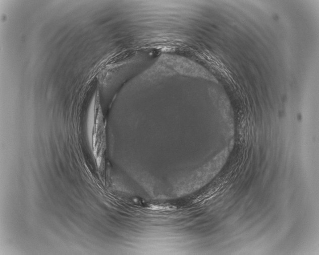 X0000085820693200704091632