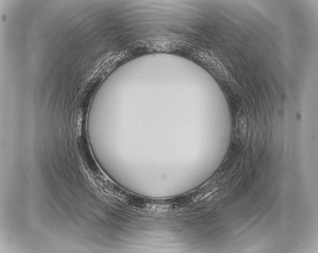 X0000085820694200704091632