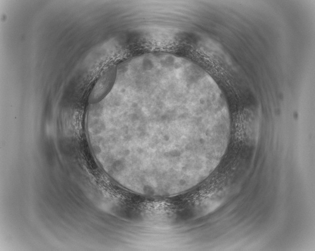 X0000085820695200704091632