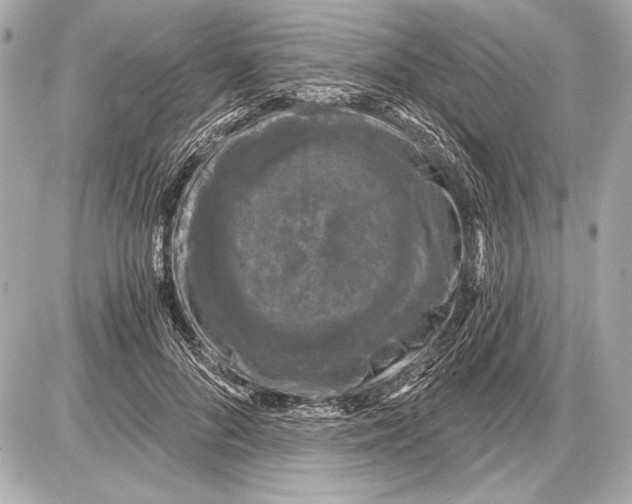 X0000085820696200704091632