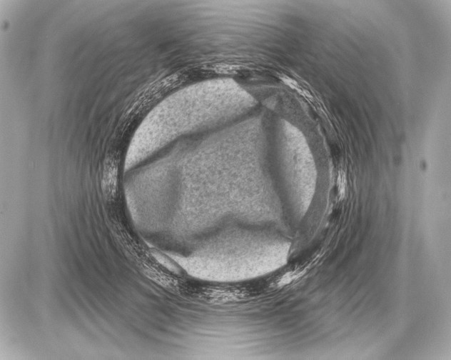 X0000085820697200704091632