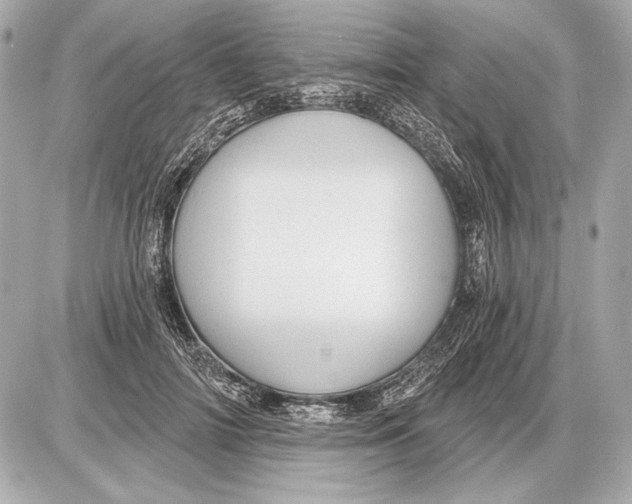 X0000085820698200704091632