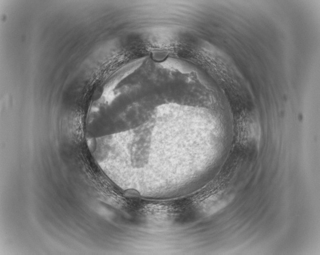 X0000085820699200704091632