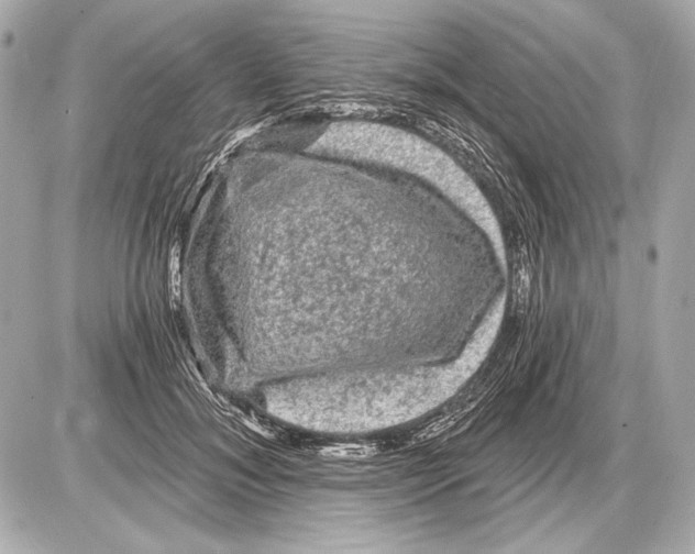 X0000085820700200704091632