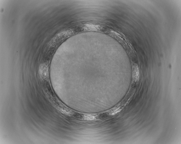 X0000085820701200704091632