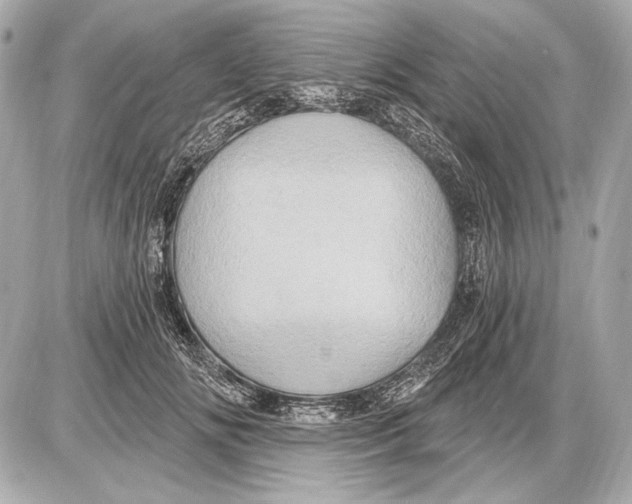 X0000085820702200704091632