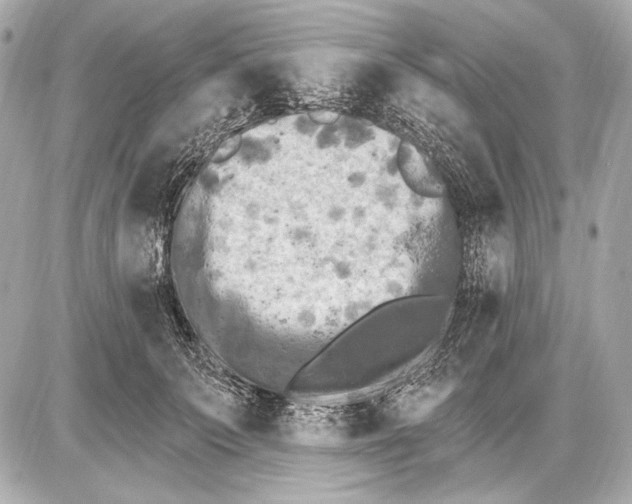 X0000085820703200704091632