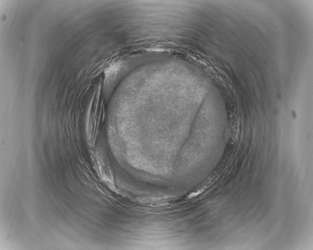 X0000085820704200704091632