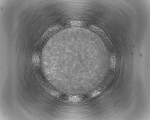 X0000085820705200704091632