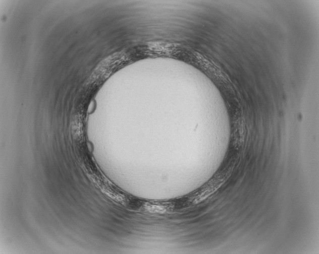 X0000085820706200704091632