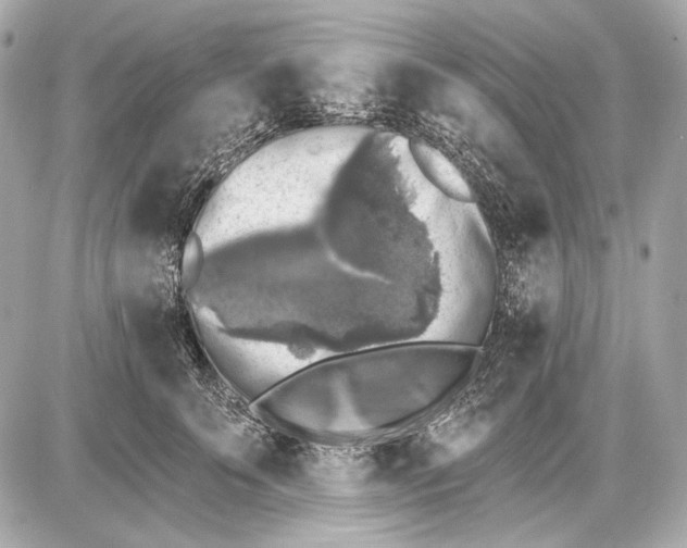 X0000085820707200704091632