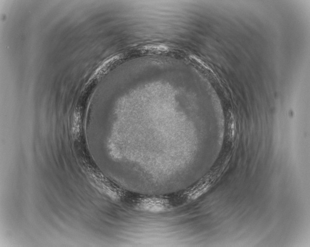 X0000085820708200704091632